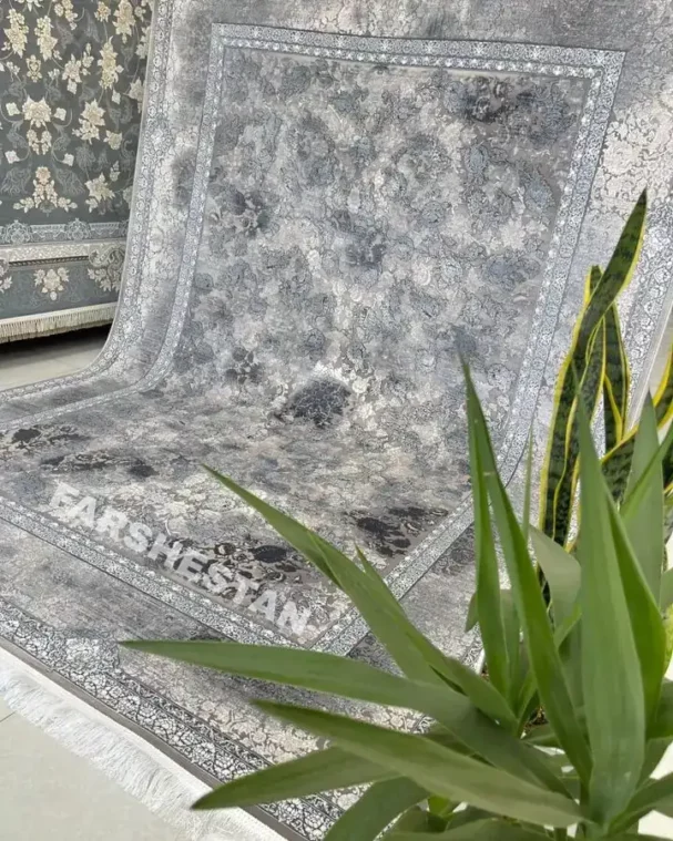 Carpets A beautiful, intricately designed carpet with a plant in the foreground, showcasing the carpet's intricate patterns